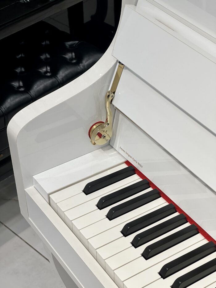 درب کلاویه پیانو طرح آکوستیک کاسیو مدل PXS1000