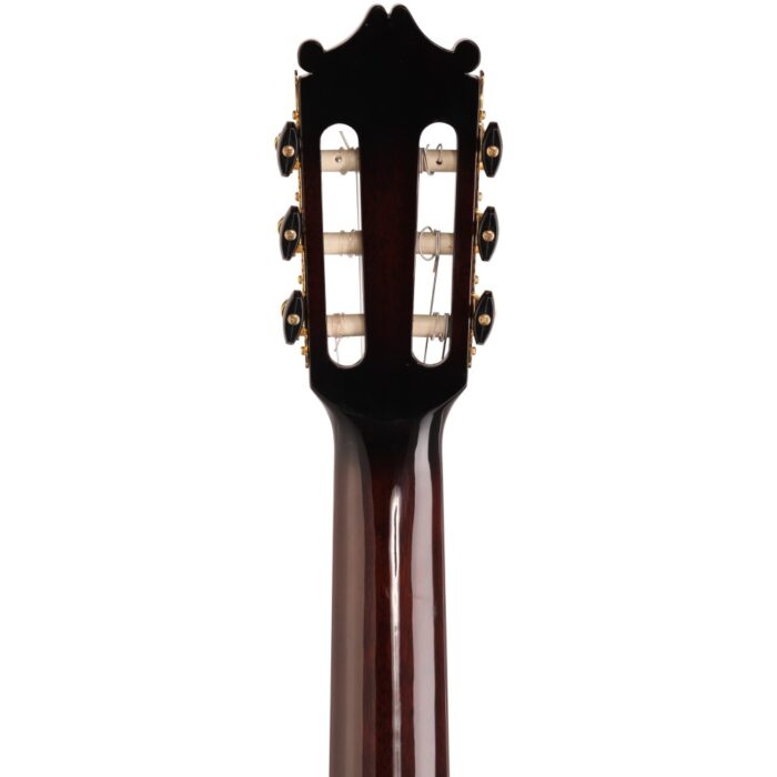 Ibanez GA35TCE DVS Classical Guitar 5