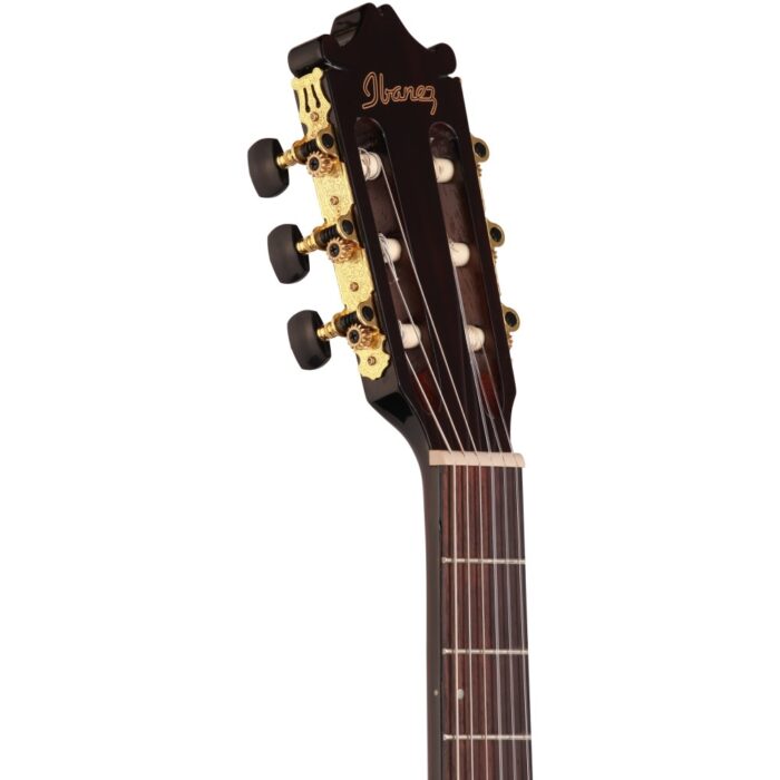 Ibanez GA35TCE DVS Classical Guitar 6