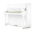 قیمت پیانو آکوستیک پرل ریور EU118