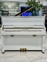 پیانو طرح آکوستیک کاسیو مدل PXS1000