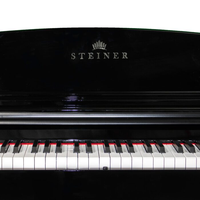 Stainer DP 800 5