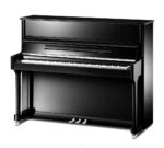 خرید پیانو آکوستیک پرل ریور EU118
