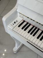 تنظیم کننده پیانو طرح آکوستیک کاسیو مدل PXS1000