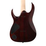 گیتار الکتریک آیبانز Ibanez RGA42FM-DEF در شیراز