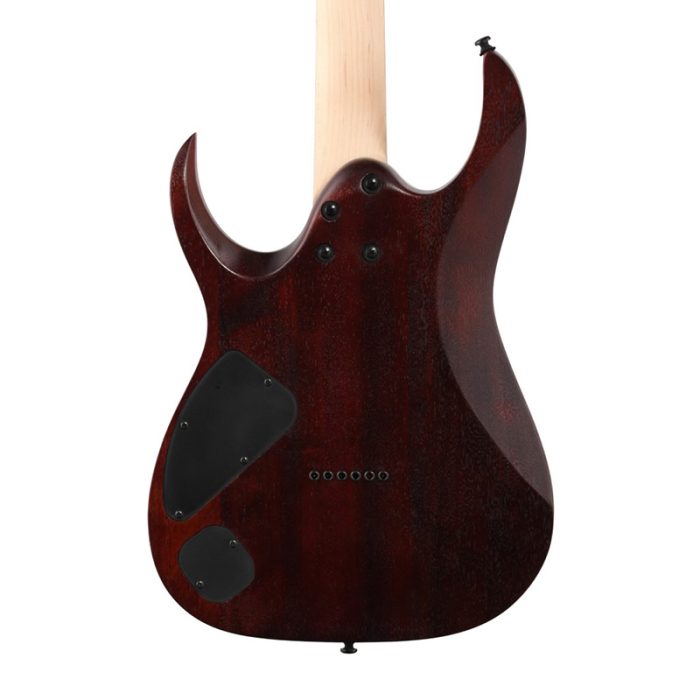 گیتار الکتریک آیبانز Ibanez RGA42FM-DEF در شیراز