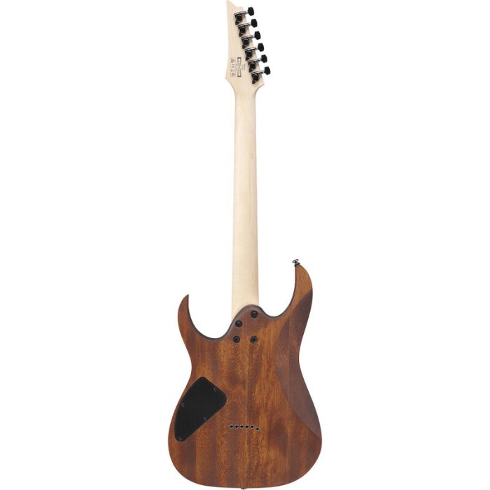 خرید گیتار الکتریک آیبانز Ibanez RG421-MOL
