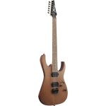 قیمت گیتار الکتریک آیبانز Ibanez RG421-MOL