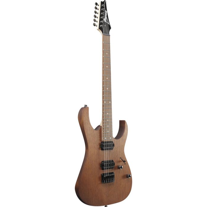 قیمت گیتار الکتریک آیبانز Ibanez RG421-MOL