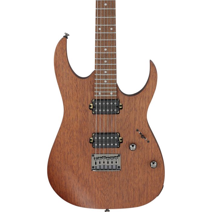 مشخصات گیتار الکتریک آیبانز Ibanez RG421-MOL