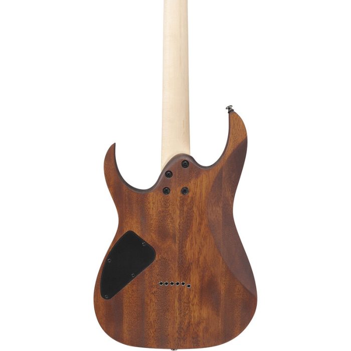 گیتار الکتریک آیبانز Ibanez RG421-MOL در شیراز