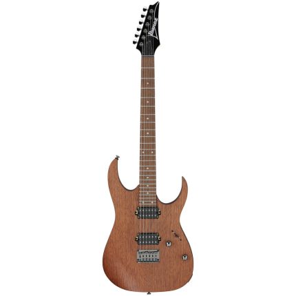 گیتار الکتریک آیبانز Ibanez RG421-MOL