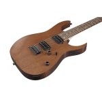فروش گیتار الکتریک آیبانز Ibanez RG421-MOL