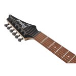 خرید قسطی گیتار الکتریک آیبانز Ibanez RG421-MOL