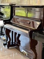 پیانو اکوستیک یانگ چانگ