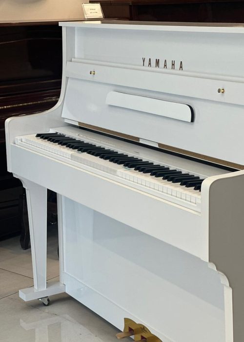 باکس طرح اکوستیک سفید